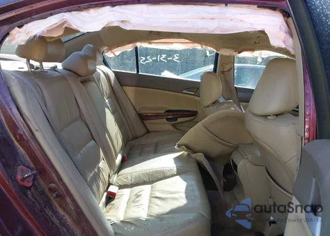 2010 Honda Accord Sdn 2.4 Ex-L/Ex-L from USA, damaged, VIN 1HGCP2F86AA161127